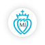 Icon MI Logo